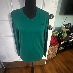 Hollister Co. Green V-Neck Sweater with Embroidered Seagull Logo – Size S
